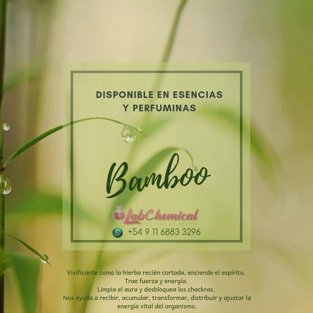 Bamboo