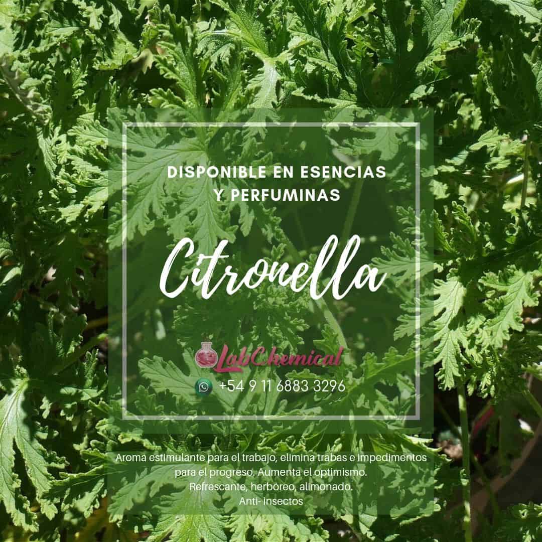 Citronella
